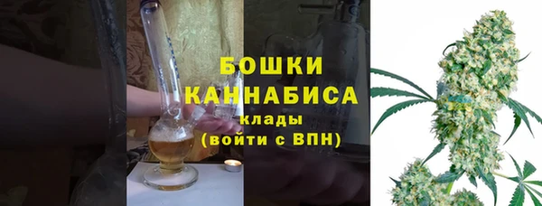 молекула духа Нягань