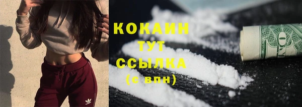 молекула духа Нягань