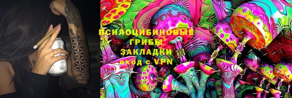 ешки Няндома
