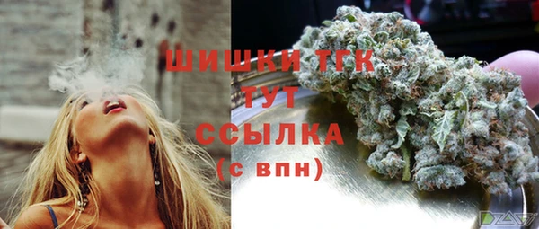молекула духа Нягань