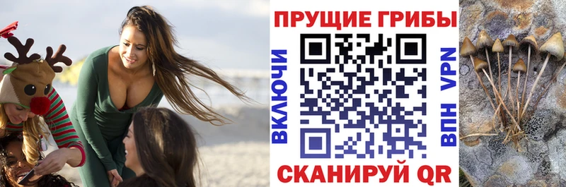 Галлюциногенные грибы Magic Shrooms  Спас-Клепики 